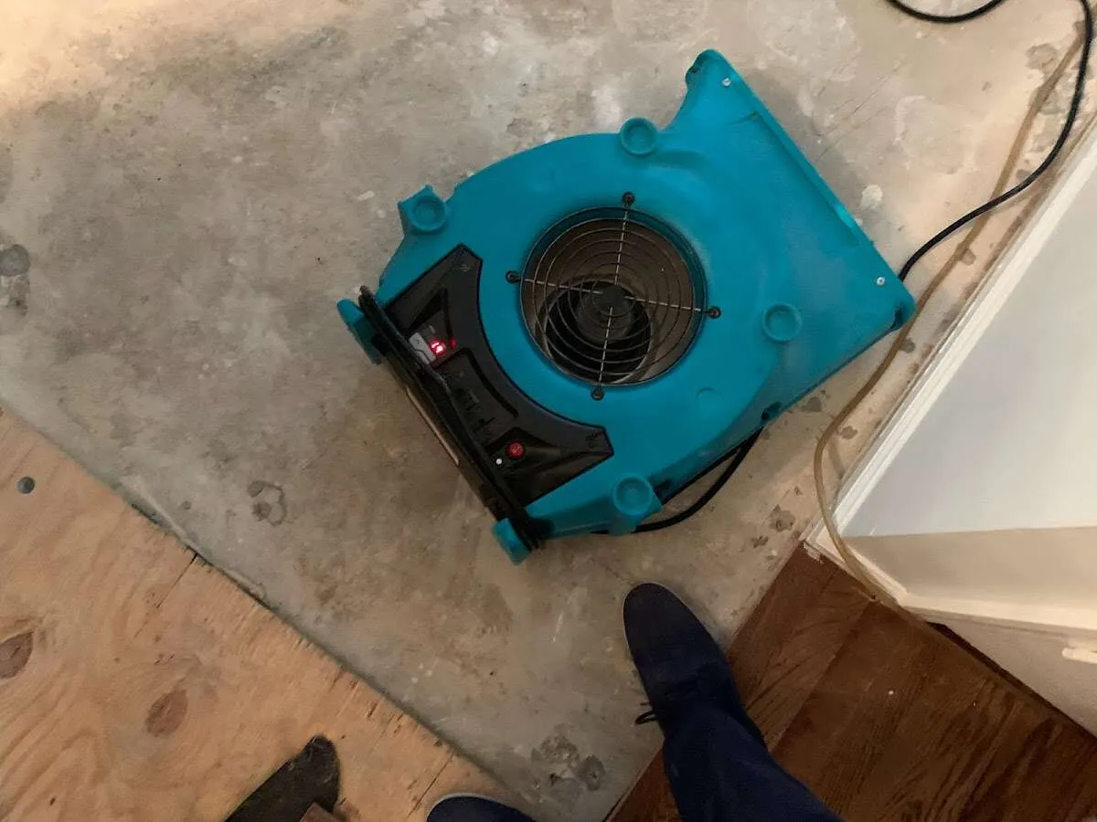 Air mover drying subfloor during Leak Detection & Repair in Siesta Key