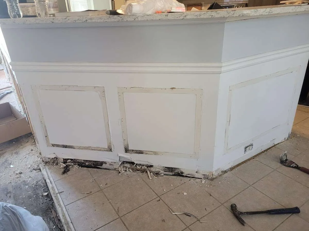 Water damage and mold on kitchen during Sewage Cleanup & Sanitation in Siesta Key